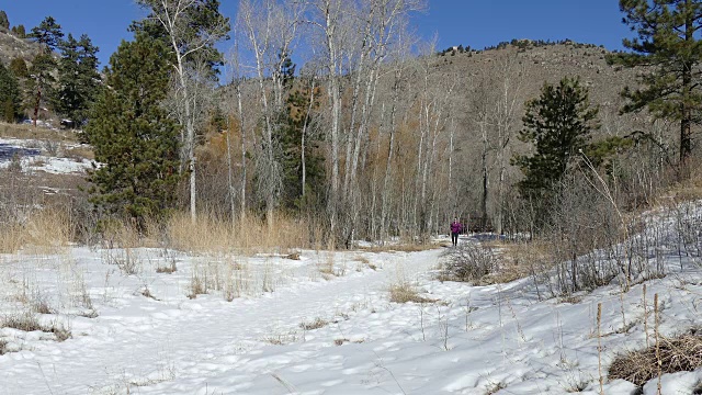 一名年轻女子在科罗拉多落基山脉雪地里奔跑视频素材