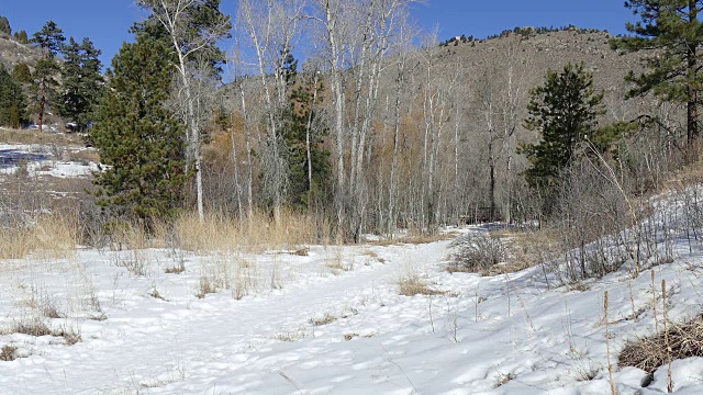 年轻夫妇trail跑雪熊溪科罗拉多落基山脉视频素材