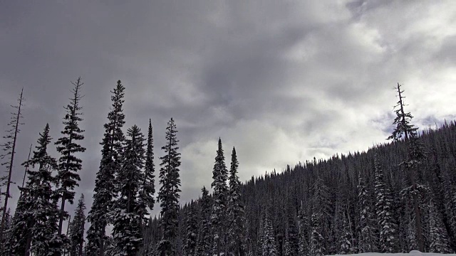 白雪覆盖的树木在风中飘动，云在山间的天空中翻滚。视频素材