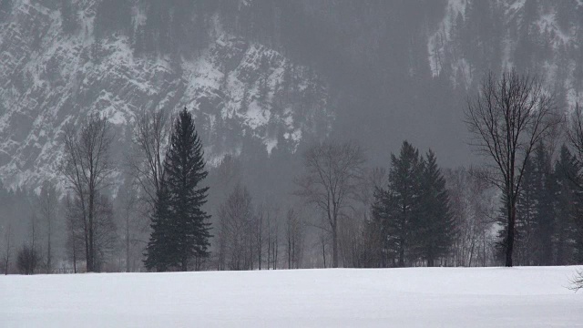 长焦拍摄的光秃秃的荒凉的树木对着山的脸在暴风雪期间。视频素材