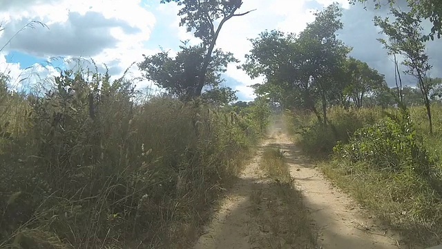 在赞比亚基特韦附近的一条土路上开车视频素材