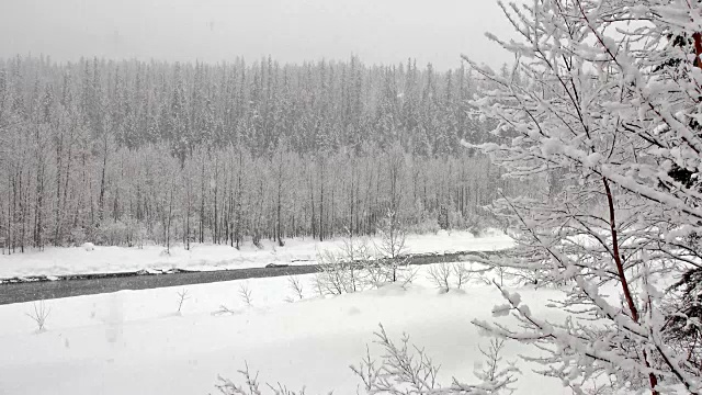 宽阔的镜头，覆盖着积雪的树木在山上的河岸期间，沉重的雪花暴风雪。视频素材