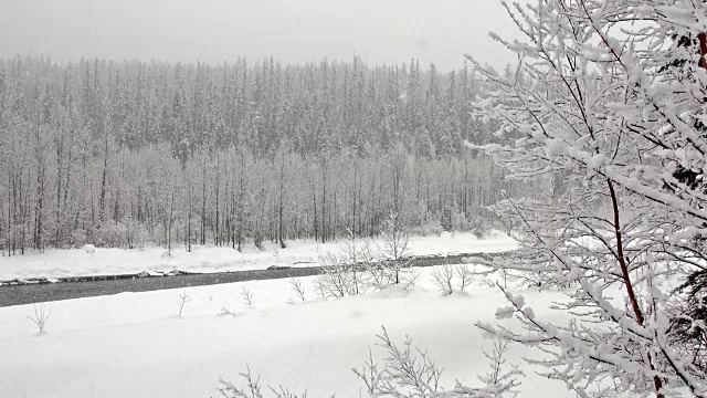 在大雪纷飞的雪灾中，潘文石留下了大范围的拍摄，拍摄的是山中河边被雪覆盖的树木。视频素材