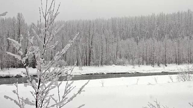 宽阔的镜头，覆盖着积雪的树木在山上的河岸期间，沉重的雪花暴风雪。视频素材