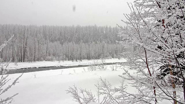 潘右宽拍下了在大雪中被大雪覆盖的树木在山上。视频素材