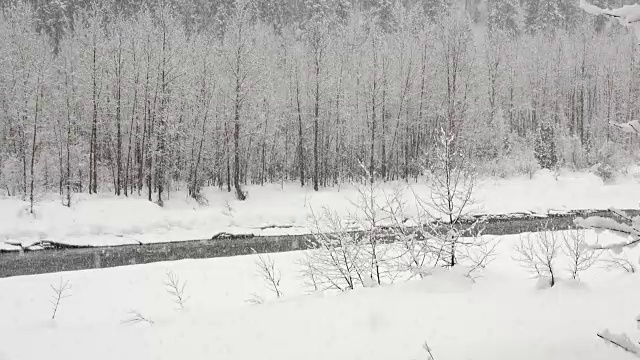 长焦拍摄的雪覆盖的树木沿河岸在山区期间，沉重的雪花暴风雪。视频素材