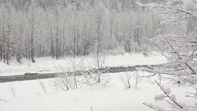 长焦拍摄的雪覆盖的树木沿河岸在山区期间，沉重的雪花暴风雪。视频素材