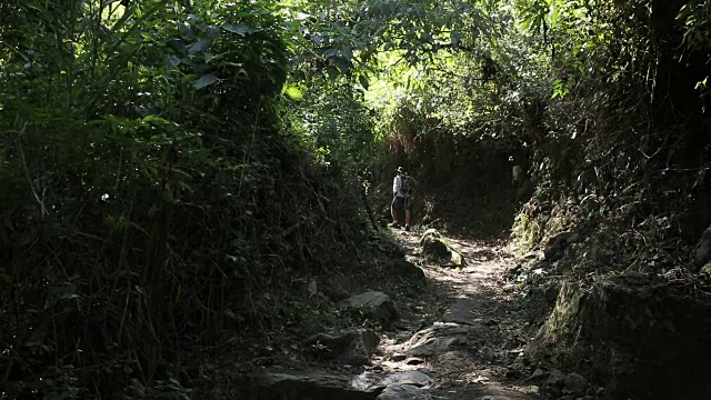 徒步旅行者沿着绿树成荫的森林小径前行视频素材