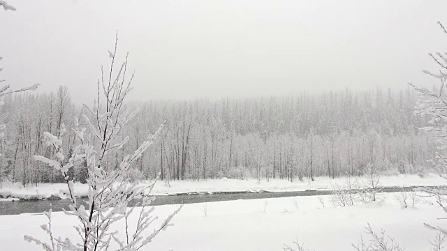 宽阔的镜头，覆盖着积雪的树木在山上的河岸期间，沉重的雪花暴风雪。视频素材