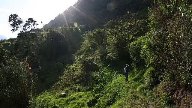 一个人戴着帽子沿着山路走视频素材