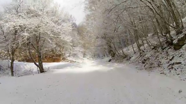 森林道路，铺满雪，GoPro视频素材