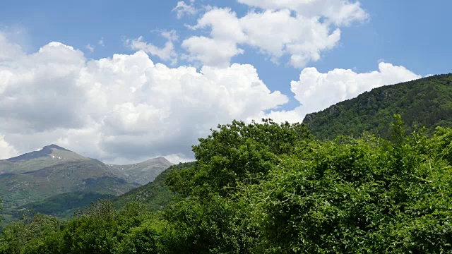 西班牙比利牛斯山的树木生长在山坡上视频素材