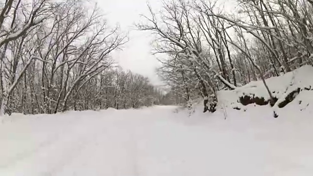 穿过森林的高速公路，GoPro视频素材