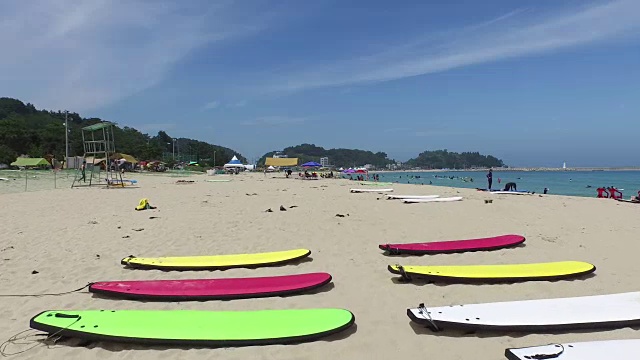 一群人在阳阳海滩(东海)享受夏日冲浪视频素材