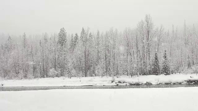 宽阔的镜头，覆盖着积雪的树木在山上的河岸期间，沉重的雪花暴风雪。视频素材