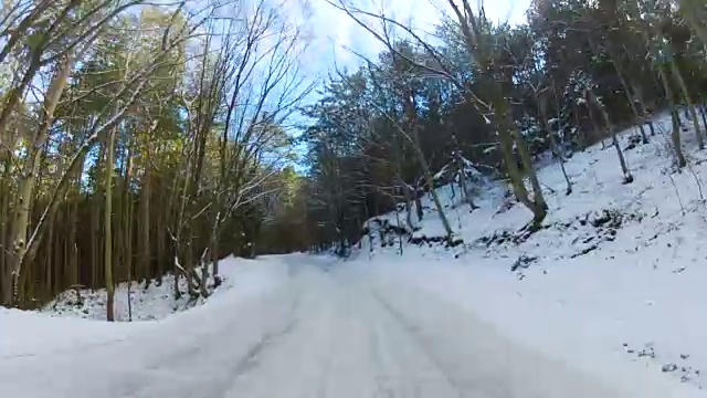 穿过森林的高速公路，GoPro视频素材