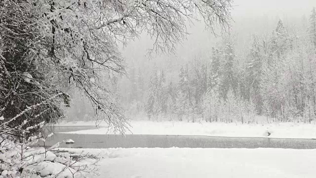 宽阔的镜头，覆盖着积雪的树木在山上的河岸期间，沉重的雪花暴风雪。视频素材