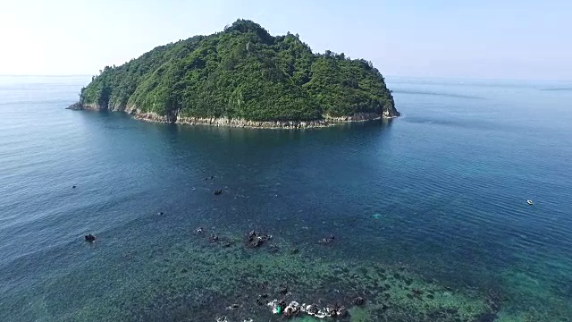 Seopseom岛(著名的森林，旅游目的地)视频素材