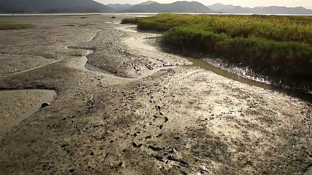 新天门湾泥滩景观(自然地标、生态公园)视频素材