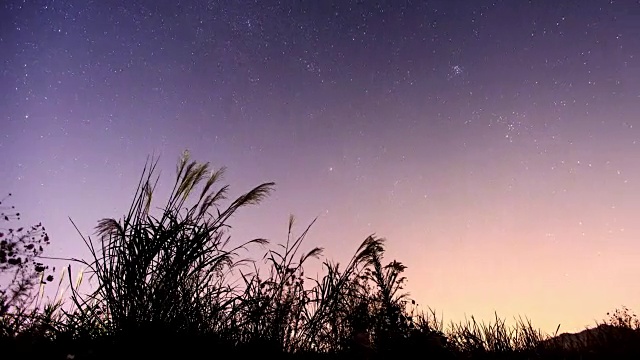 日落至夜，在新天门湾(自然地标，生态公园)观赏星空、银河和芦苇视频素材