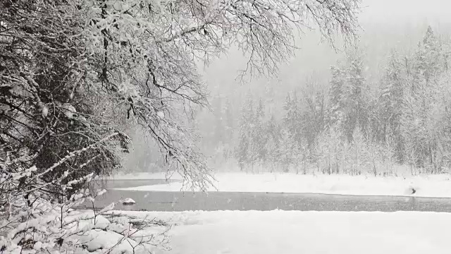 潘左图拍摄的是在大雪纷飞的雪灾中，山上被雪覆盖的树木。视频素材