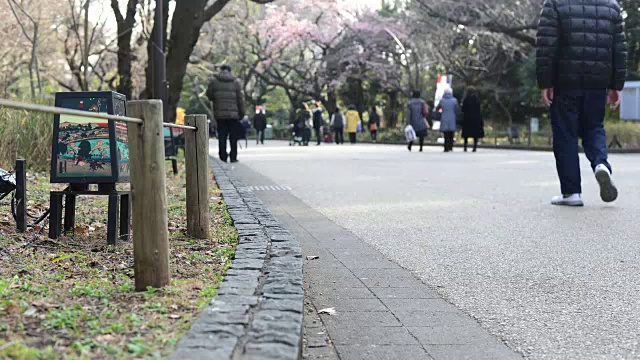 上野公园视频素材