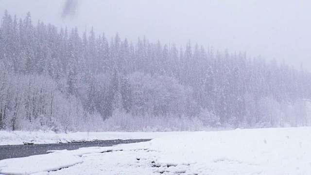 宽镜头的河流和雪覆盖的树木沿河岸在山区期间，沉重的雪花暴风雪。视频素材