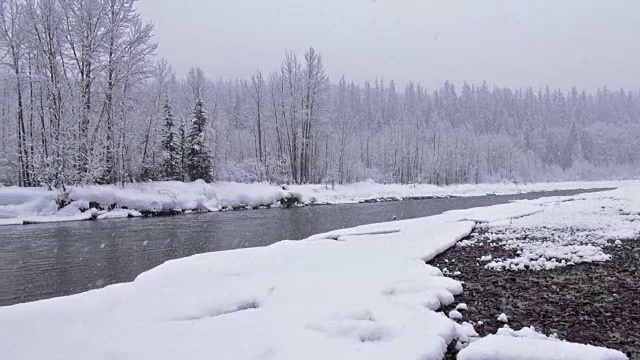 在大雪纷飞的日子里，潘文石在大范围的拍摄中拍摄了河边和山上被雪覆盖的树木。视频素材