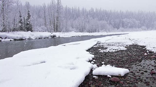 宽镜头的河流和雪覆盖的树木沿河岸在山区期间，沉重的雪花暴风雪。视频素材