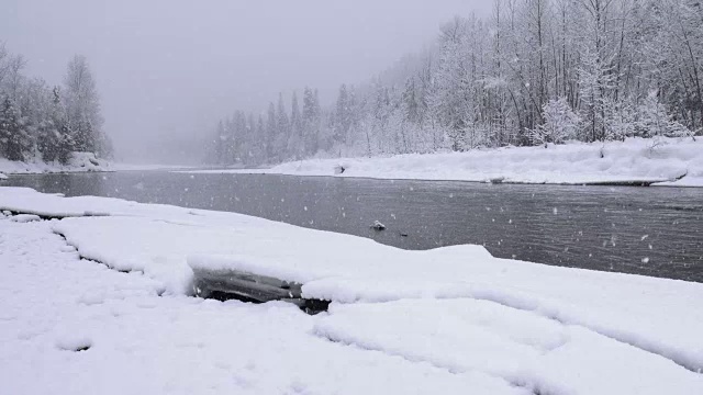 宽镜头的河流和雪覆盖的树木沿河岸在山区期间，沉重的雪花暴风雪。视频素材