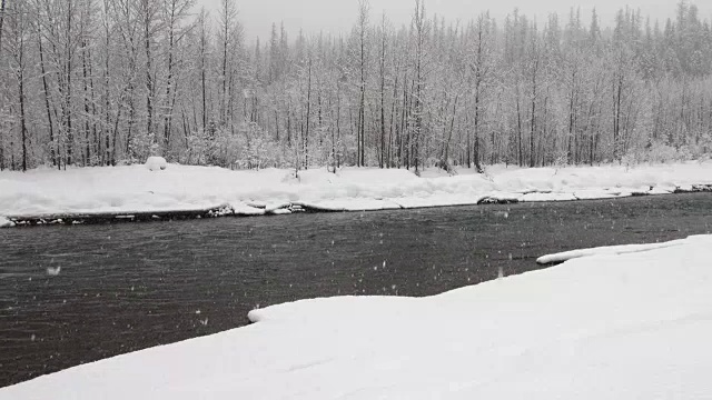 宽镜头的河流和雪覆盖的树木沿河岸在山区期间，沉重的雪花暴风雪。视频素材