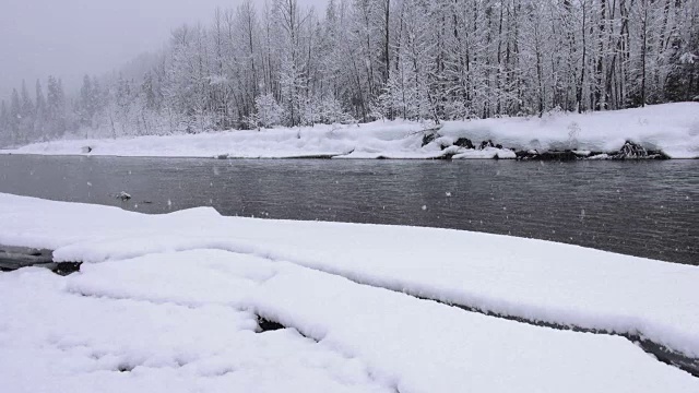 在大雪纷飞的日子里，潘文石在大范围的拍摄中拍摄了河边和山上被雪覆盖的树木。视频素材