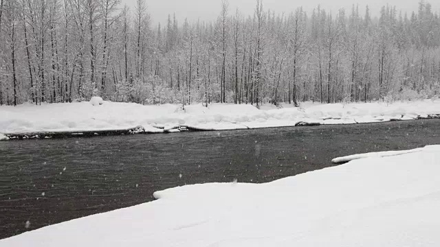 镜头右宽拍摄在大雪中，河边和山上被雪覆盖的树木。视频素材