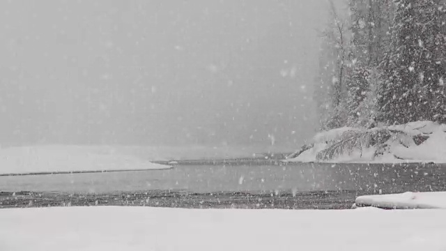 长焦拍摄的河流和雪覆盖的树木沿河岸在山区期间，沉重的雪花暴风雪。视频素材