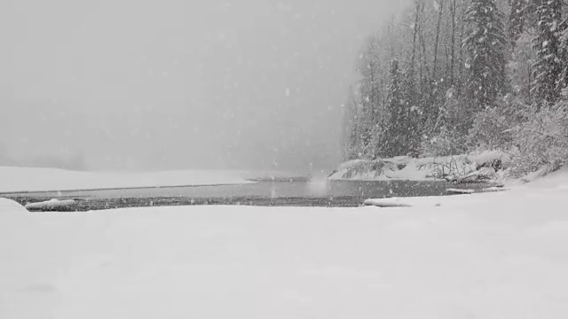 变焦拍摄的河流和积雪覆盖的树木沿河岸在山区期间沉重的雪花暴风雪。视频素材