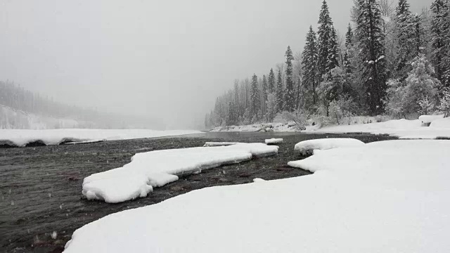 宽镜头的河流和雪覆盖的树木沿河岸在山区期间，沉重的雪花暴风雪。视频素材