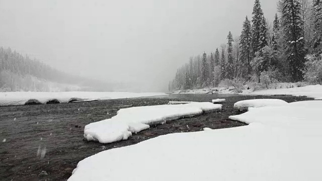 潘左右宽拍摄了在大雪纷飞的雪灾中，河边和山上被雪覆盖的树木。视频素材