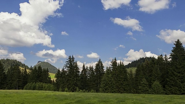 Hyperlapse -跟踪拍摄沿山区景观，草地和常绿树木在泰洛视频素材