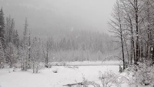 宽镜头的河流和雪覆盖的树木沿河岸在山区期间，沉重的雪花暴风雪。视频素材