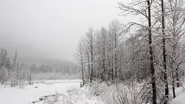 宽镜头的河流和雪覆盖的树木沿河岸在山区期间，沉重的雪花暴风雪。视频素材