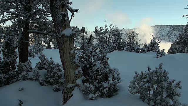 金丝雀泉在黎明，风景优美，黄石国家公园在冬天风景优美视频素材