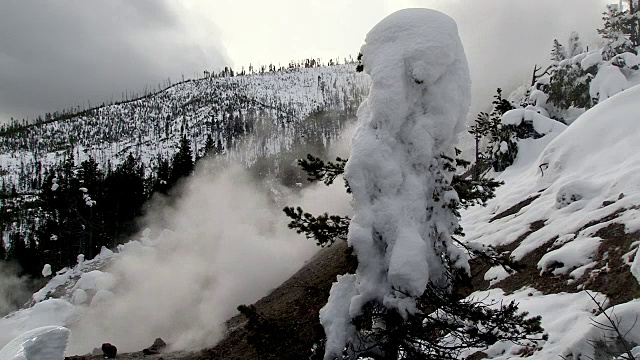 树木覆盖着冰和雪从喷泉蒸汽，诺里斯盆地，黄石国家公园的冬天风景视频素材