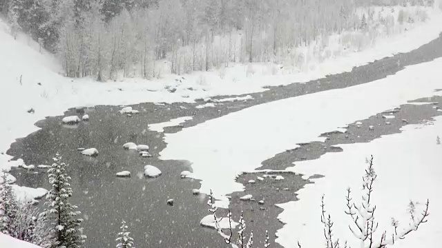 长焦拍摄的河流和雪覆盖的树木沿河岸在山区期间，沉重的雪花暴风雪。视频素材