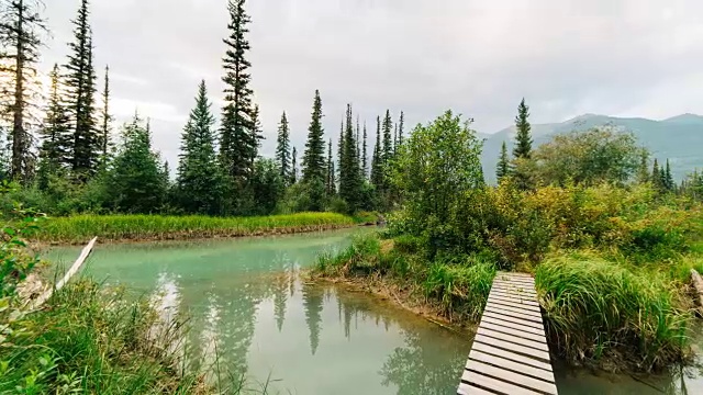 Backcountry人行桥，罗布森山，贾斯珀国家公园，阿尔伯塔视频下载