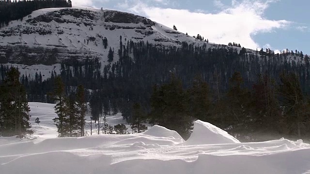 冬天，黄石国家公园里飘雪视频素材