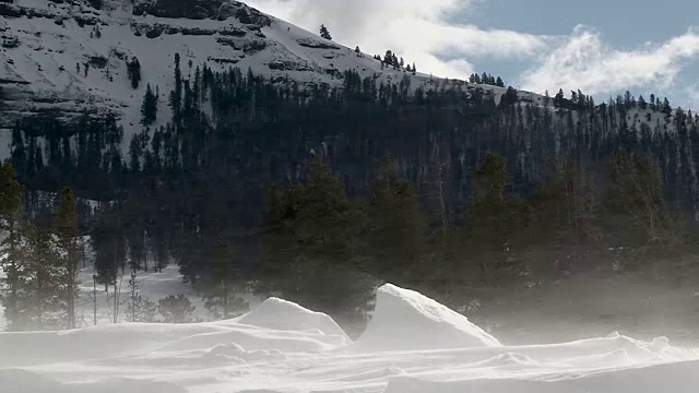 冬天，黄石国家公园里飘雪视频素材