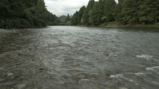 河水在浅河里冲过岩石视频素材