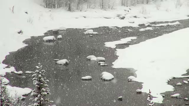 长焦拍摄的河流和雪覆盖的树木沿河岸在山区期间，沉重的雪花暴风雪。视频素材