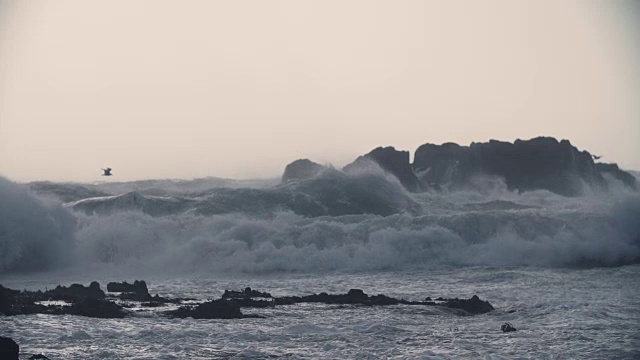 沿海波浪视频下载