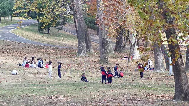 秋天，孩子们在首尔儿童大公园享受野餐视频素材